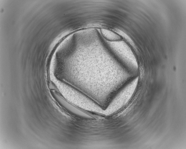 X0000070391043200607072214