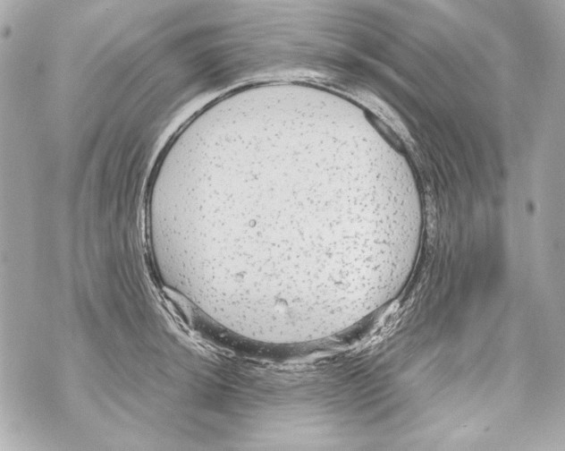 X0000070391044200607072214