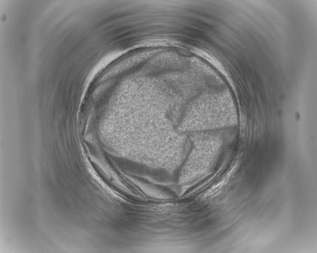 X0000070391045200607072214