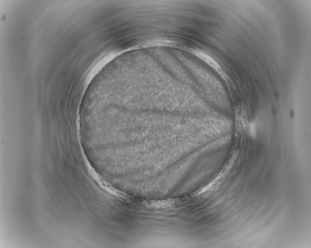 X0000070391047200607072214