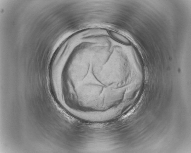 X0000070391048200607072214