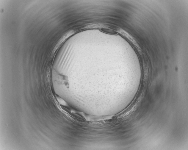 X0000070391049200607072214