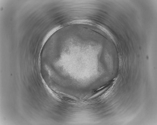 X0000070391050200607072214