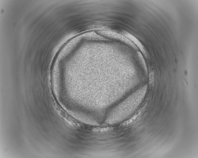 X0000070391051200607072214