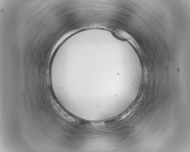 X0000070391052200607072214