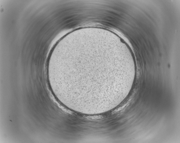 X0000070391053200607072214