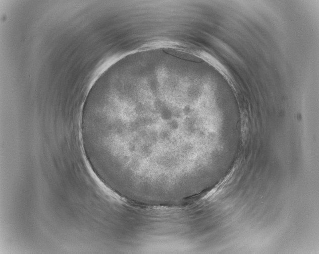 X0000070391055200607072214