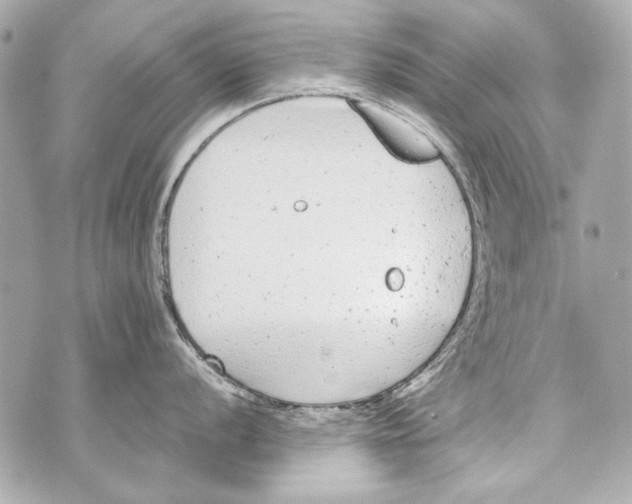 X0000070391056200607072214