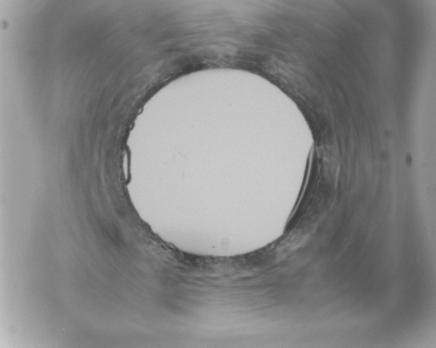 X0000070391057200607072213