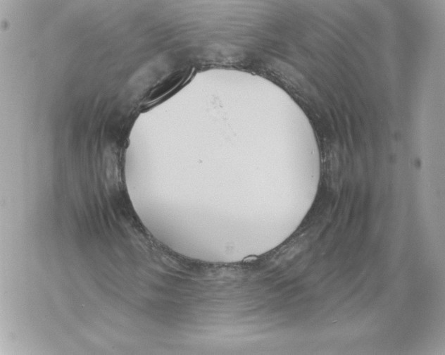 X0000070391058200607072213