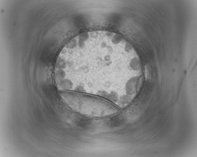 X0000070391059200607072213