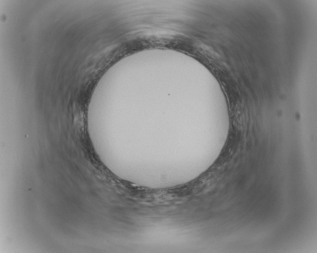 X0000070391061200607072213