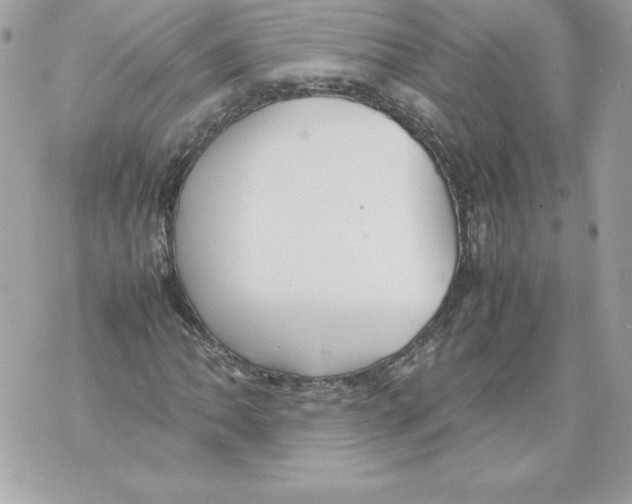 X0000070391062200607072213