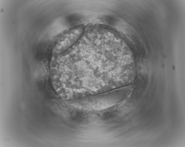 X0000070391063200607072213