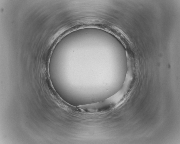 X0000070391065200607072213