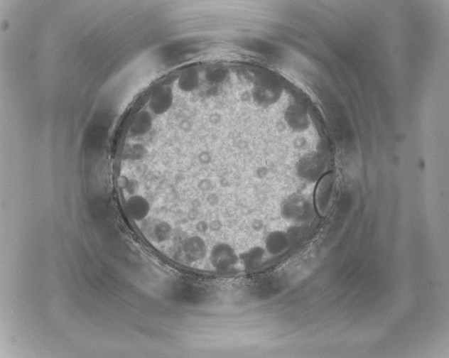 X0000070391067200607072213