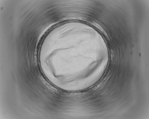 X0000070391068200607072213