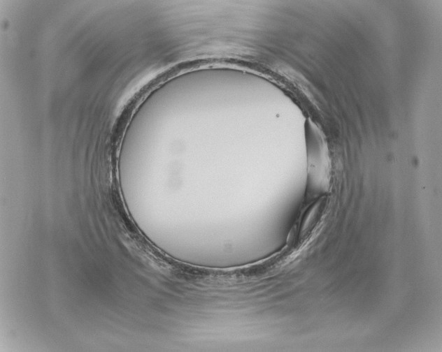 X0000070391069200607072213