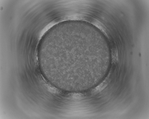 X0000070391070200607072213