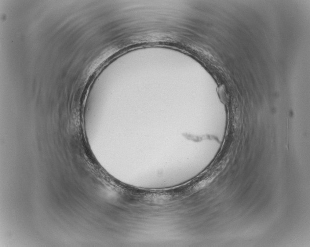 X0000070391073200607072213