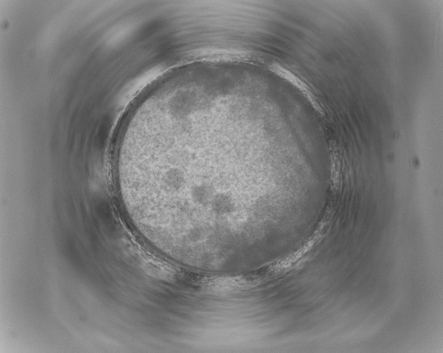 X0000070391074200607072213