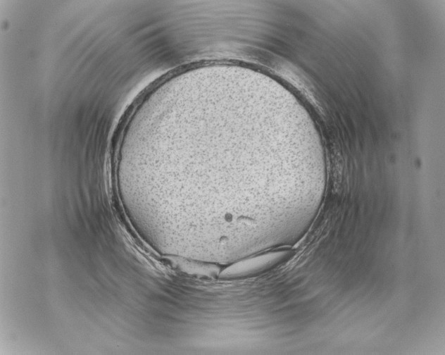 X0000070391076200607072213