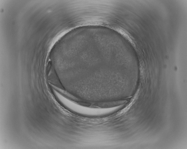 X0000070391077200607072213