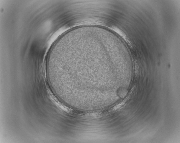 X0000070391078200607072213