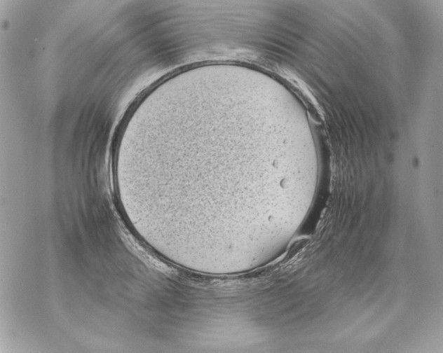 X0000070391080200607072213