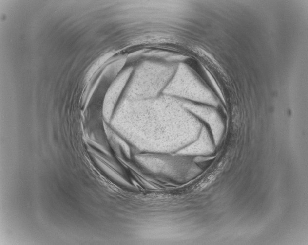 X0000070391081200607072213