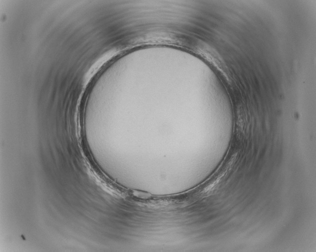 X0000070391082200607072213