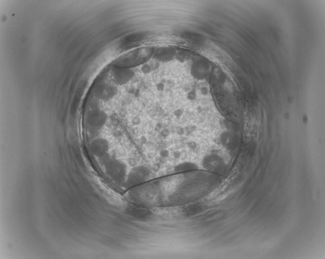 X0000070391083200607072213