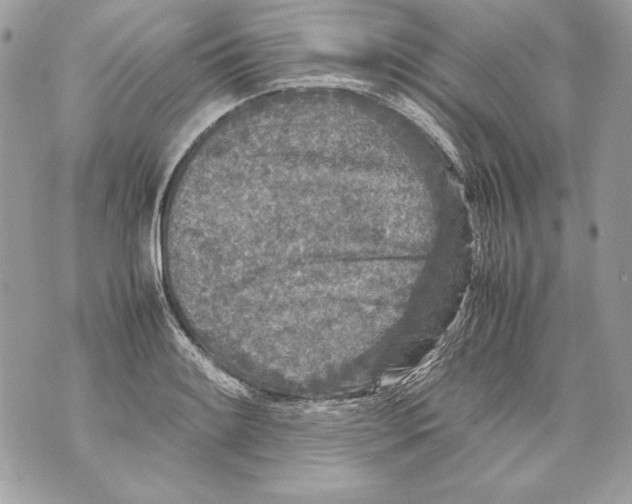 X0000070391084200607072213