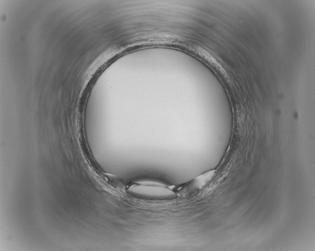 X0000070391085200607072213