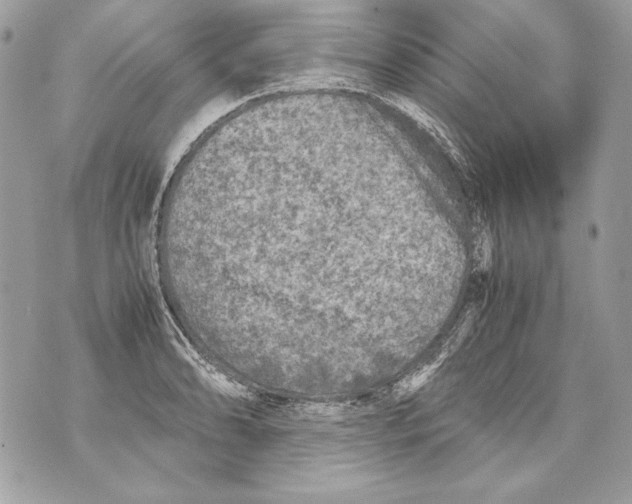 X0000070391086200607072213