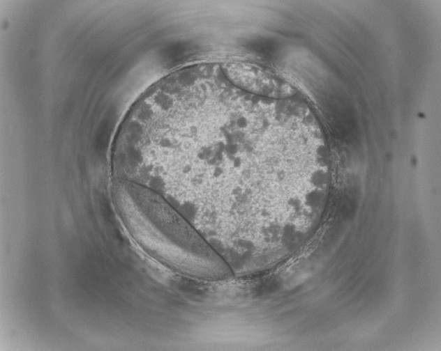 X0000070391087200607072213