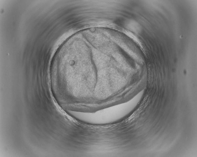 X0000070391088200607072213