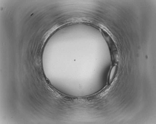 X0000070391089200607072213