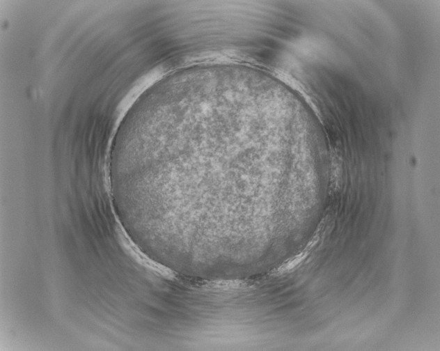 X0000070391090200607072213