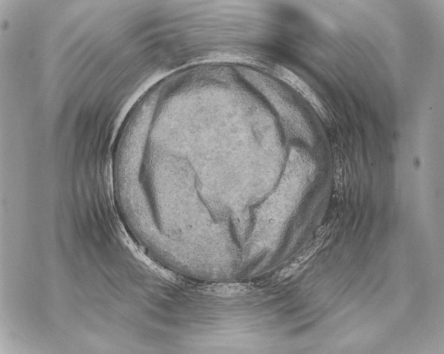 X0000070391092200607072213