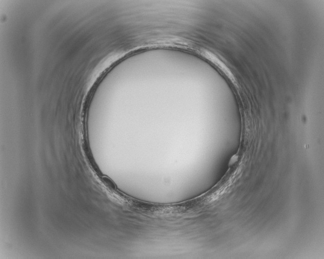 X0000070391093200607072213