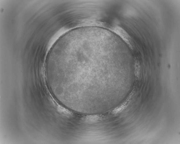 X0000070391094200607072213