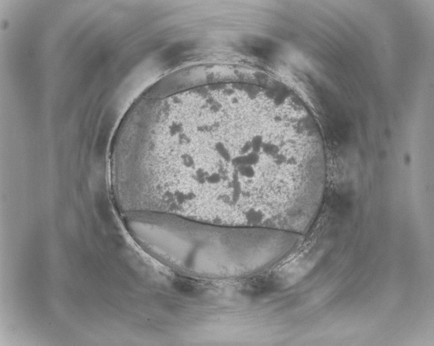 X0000070391095200607072213