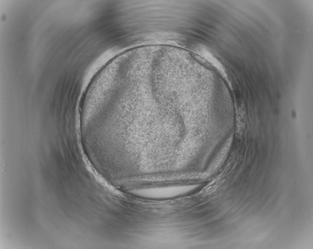 X0000070391096200607072213