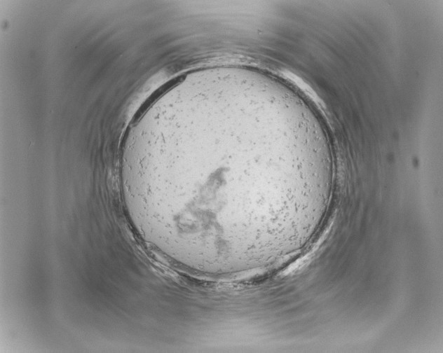 X0000070391097200607072213