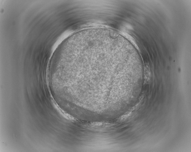 X0000070391098200607072213