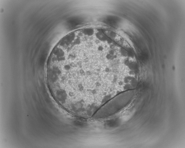 X0000070391099200607072213