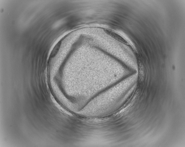 X0000070391100200607072213