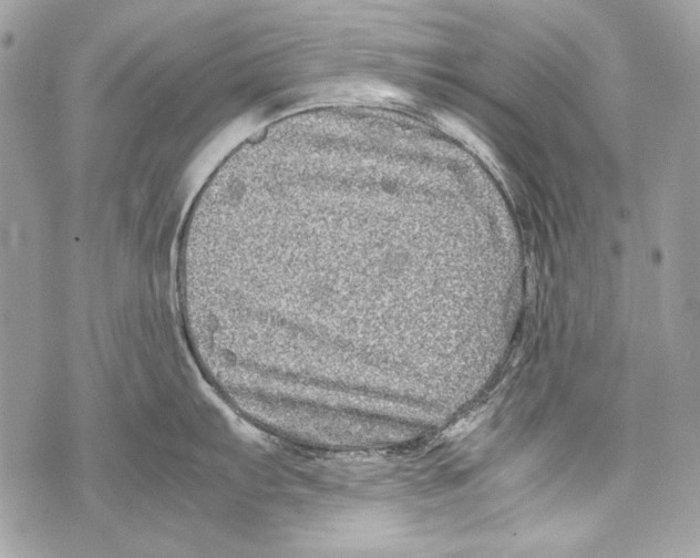 X0000070391103200607072213