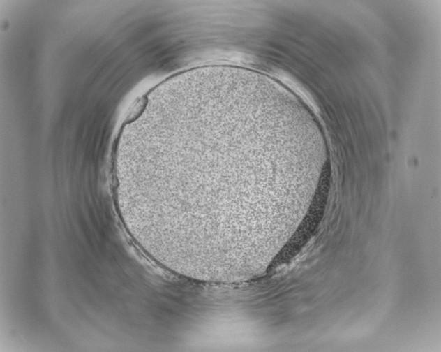 X0000070391104200607072213